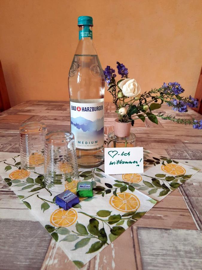 Ferienwohnung Zur Alten Post Lützen 外观 照片